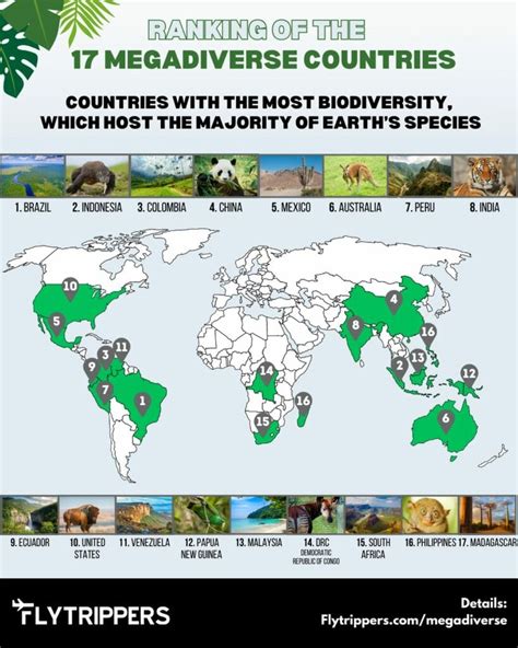 12 mega biodiversity countries|17 megadiverse countries of the world .